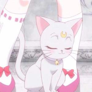 黄色网络按摩推油操逼毛片
