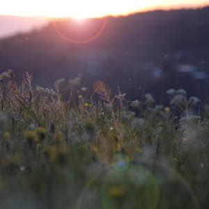 黄色网络按摩推油操逼毛片
